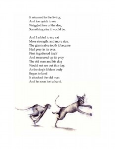 A Cat's Chance to Compete 